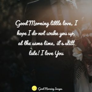 Download 60+ (BEST) Good Morning Love Images » HD » The Good Morning Images