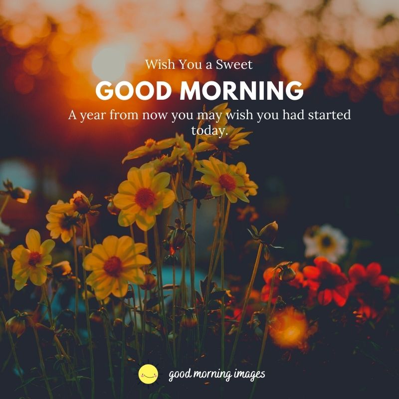 good morning nature images flowers