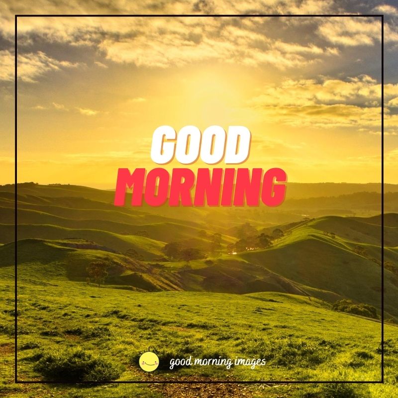 Good morning nature images