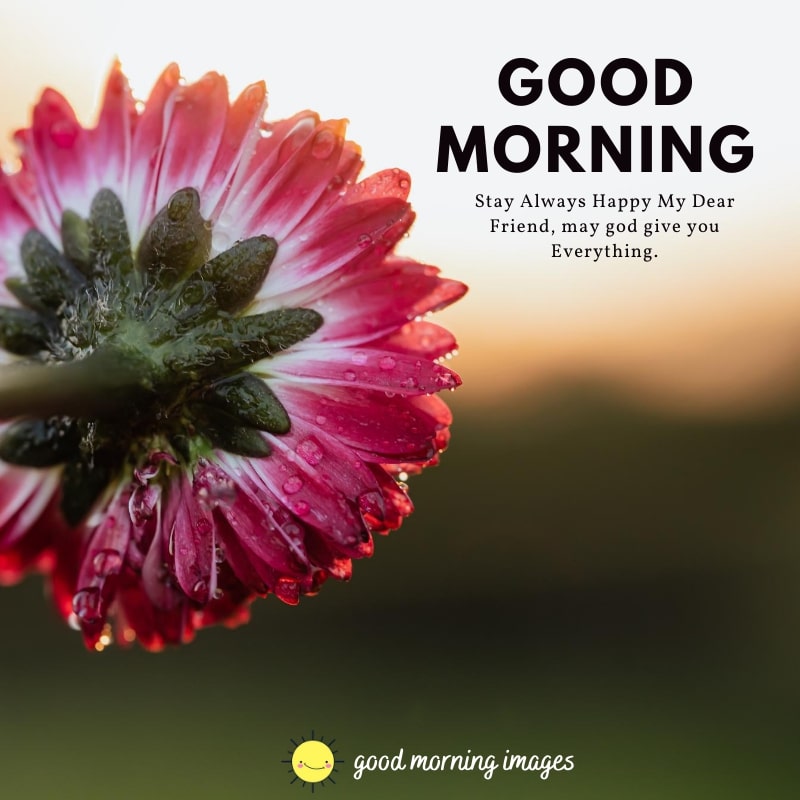 beautiful good morning images
