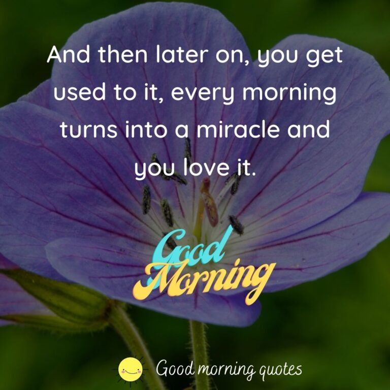 100+ Lovely Good Morning Images With Flowers HD ( Updated )