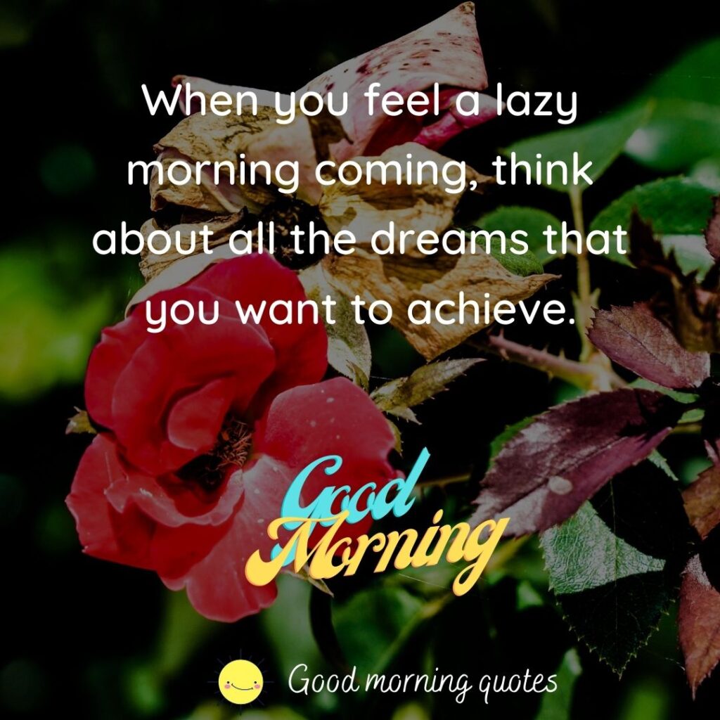 Wish you a Happy morning