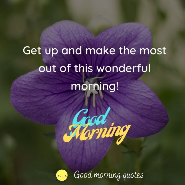 100+ Lovely Good Morning Images With Flowers HD ( Updated )