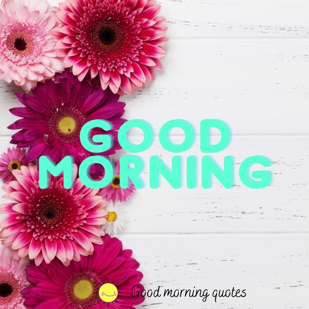 100+ Lovely Good Morning Images With Flowers HD ( Updated )