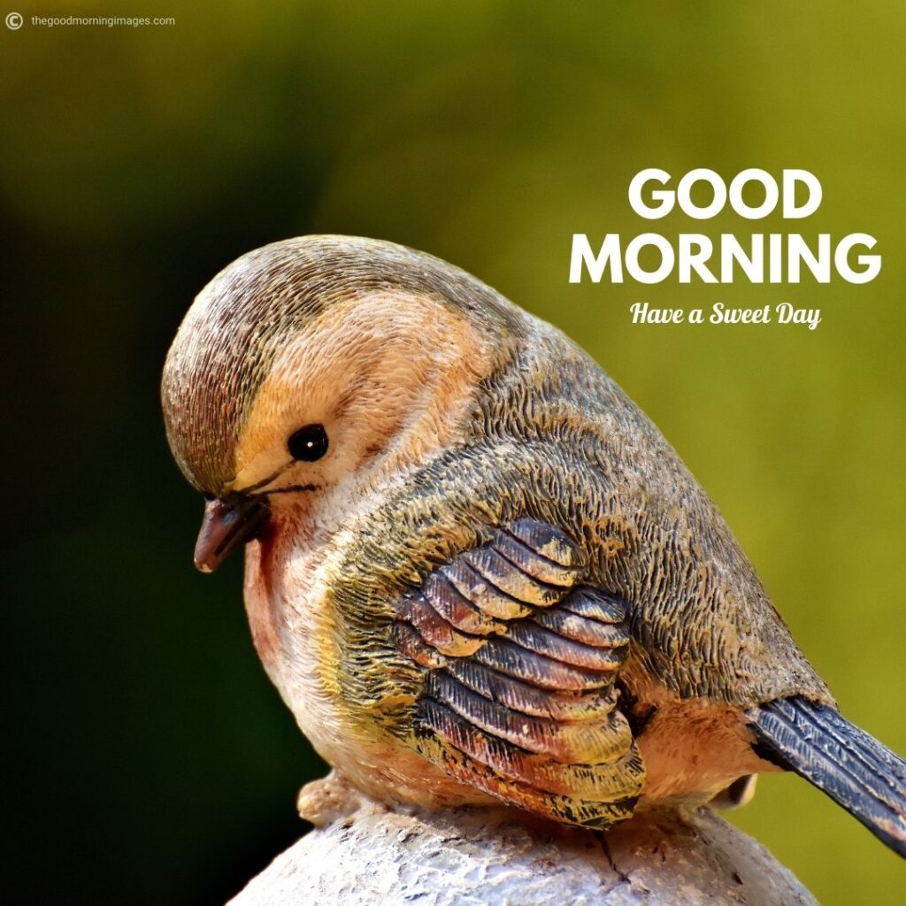 good morning images with birds