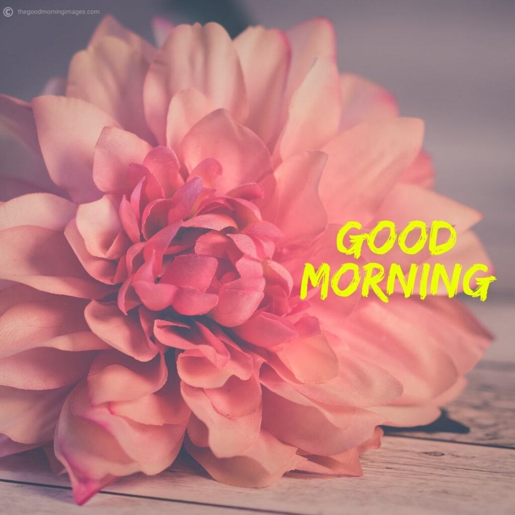 Good Morning photos with flowers