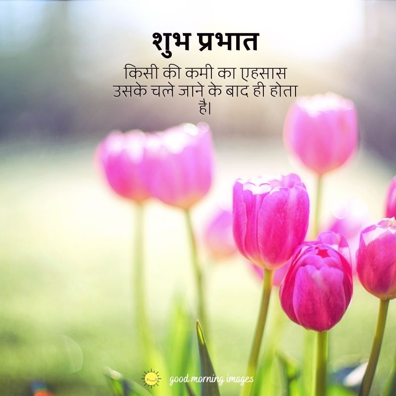 good morning inspirational quotes with images in Hindi