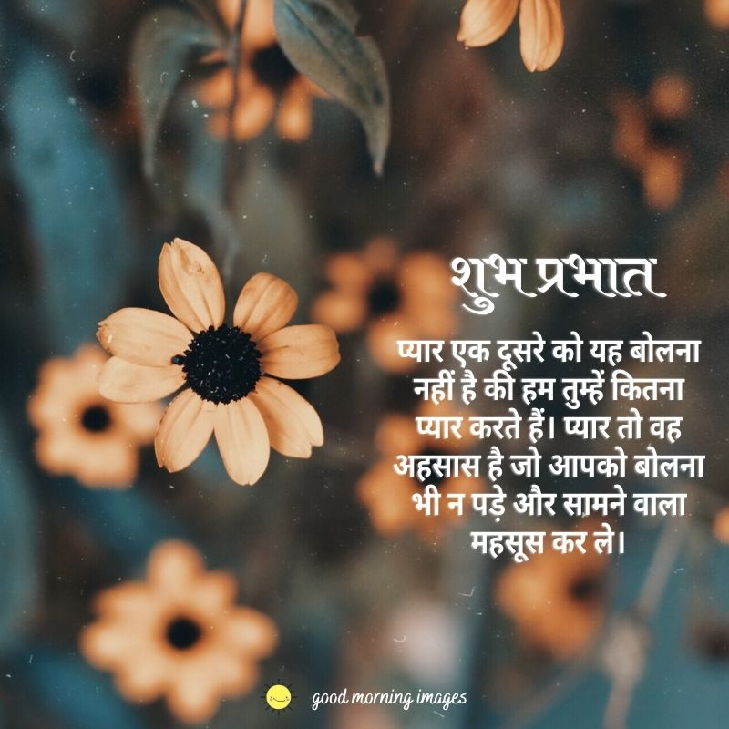 good morning flowers images hindi