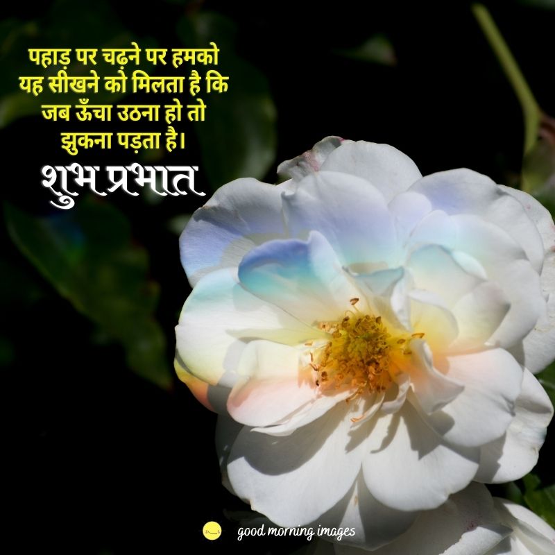 good morning quotes in Hindi with images flowers