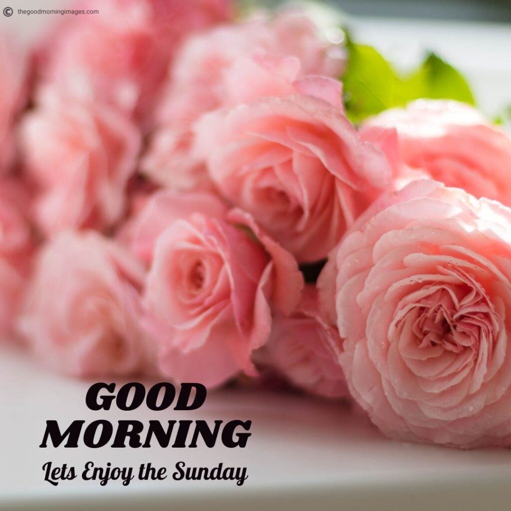 Good Morning Sunday Images flowers