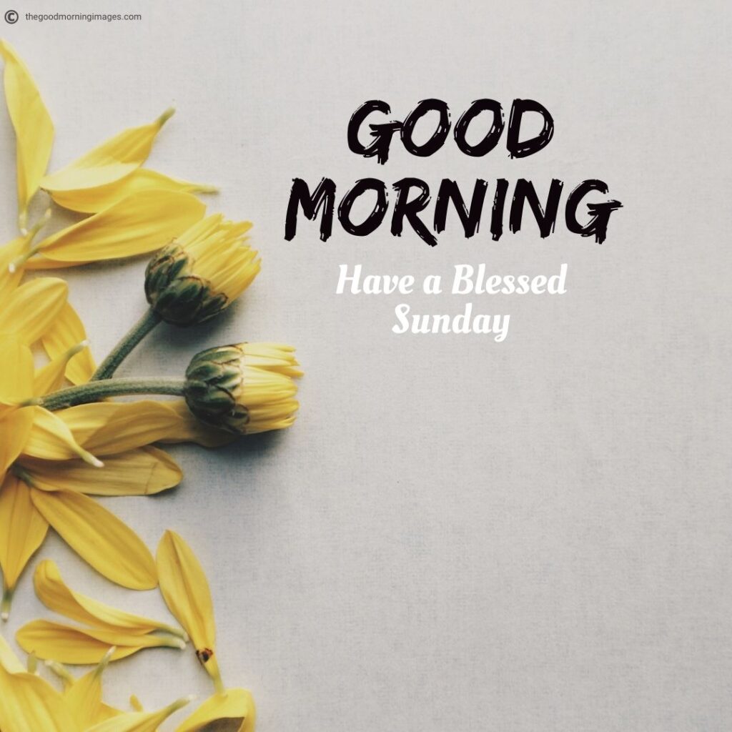 Incredible Compilation of High-Quality Good Morning Sunday Images in Full 4K – 999+ to Choose From