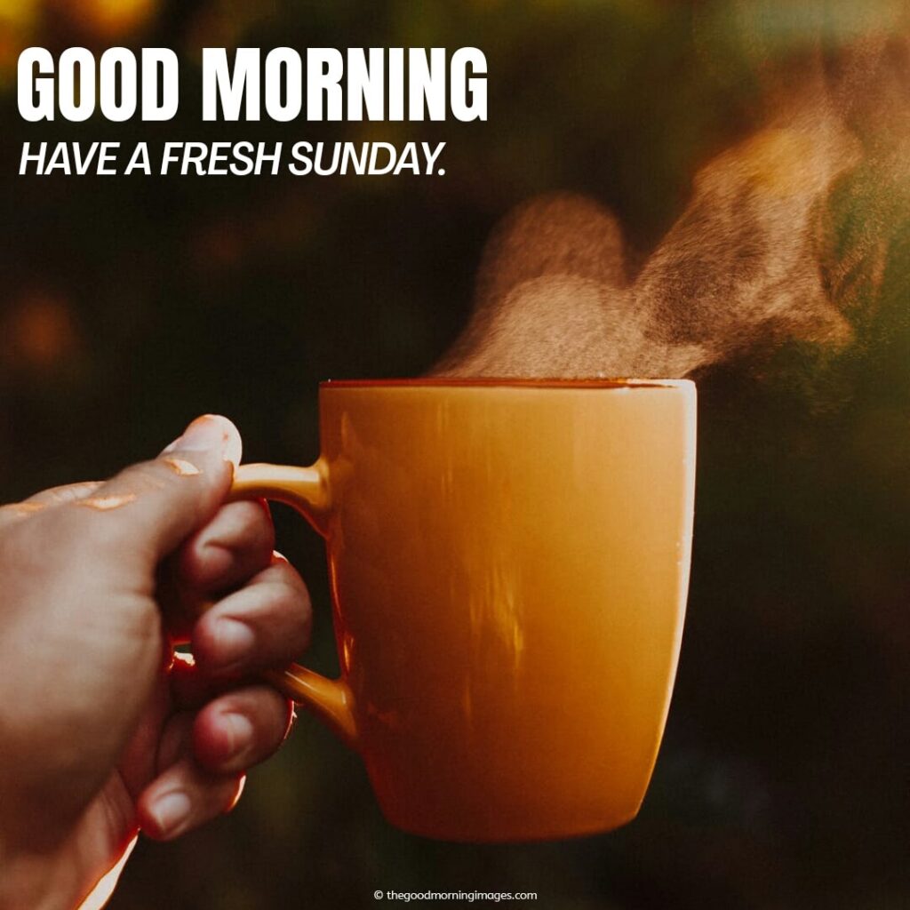 good morning friends wishing you an amazing sunday pic tea