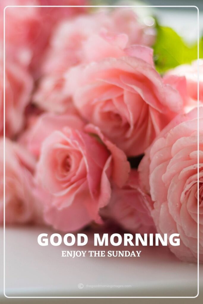 good morning sunday pink flowers pic