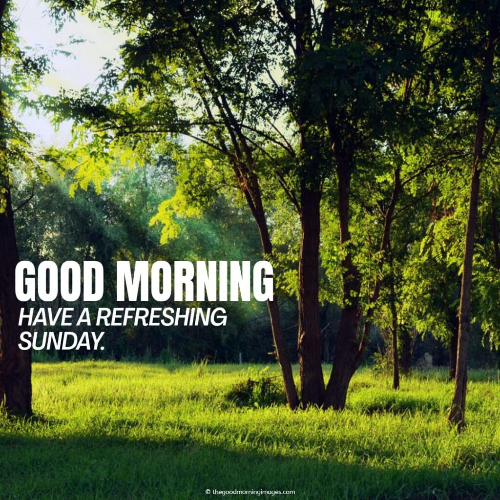 nature that refresh your Sunday morning