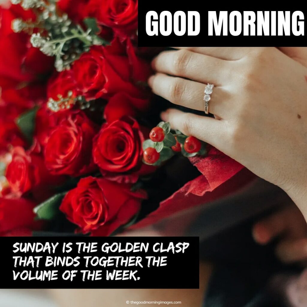 good morning sunday images with quotes, wishes and messages