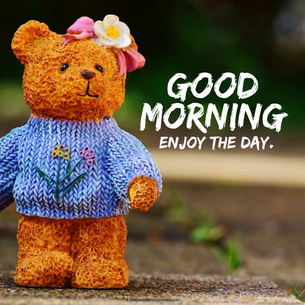 beautiful good morning teddy bear images