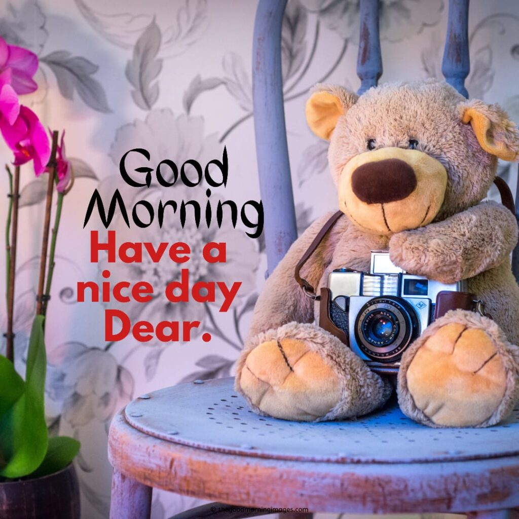 gd morning teddy bear images