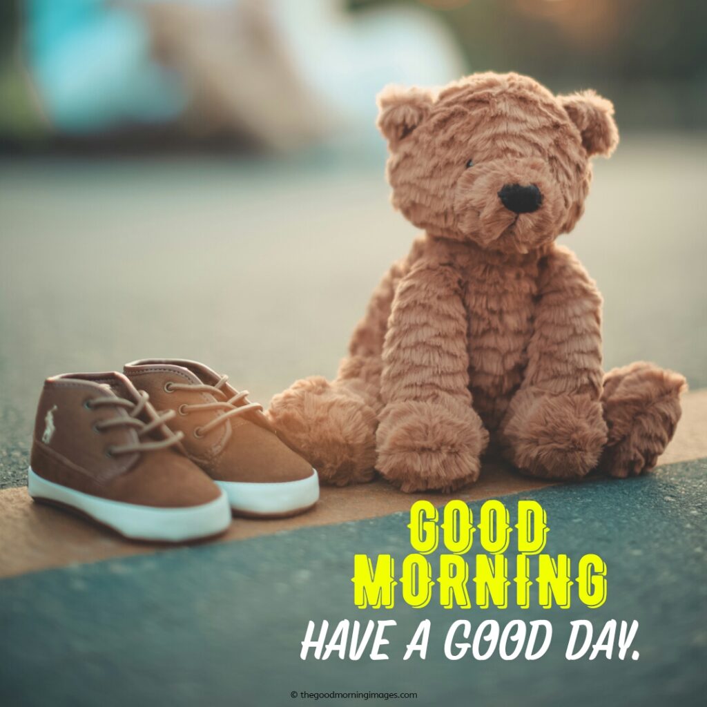 gd mrng teddy bear photos