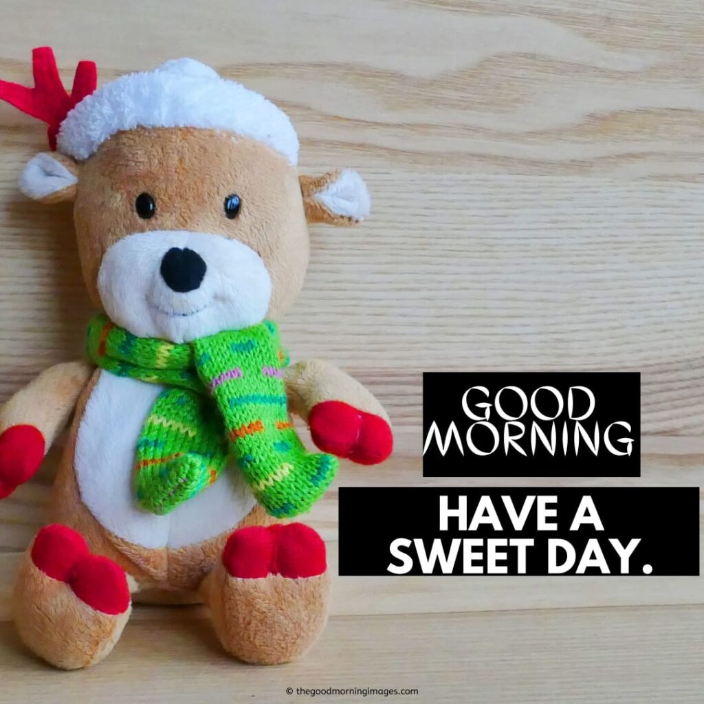 good morning Christmas teddy bear images