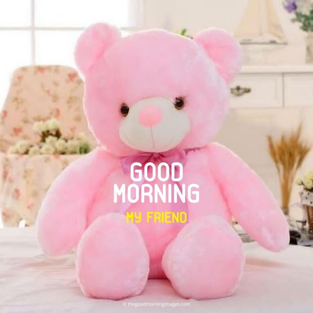good morning friends teddy