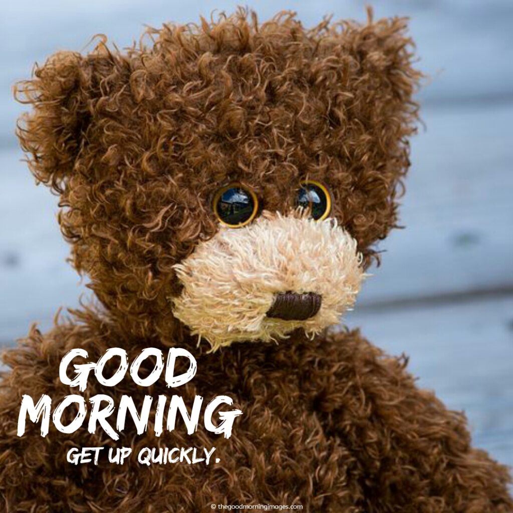 good-morning-funny-teddy-bear-images
