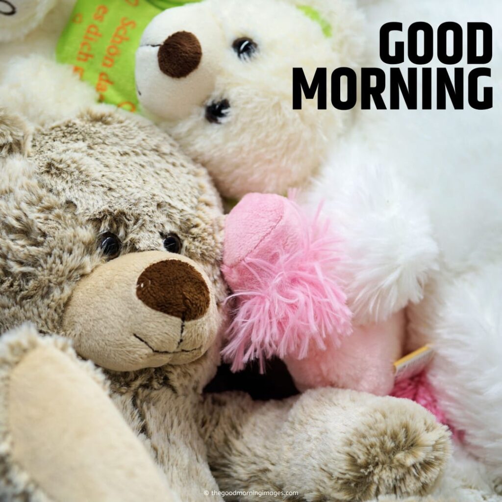 good morning teddy bear pictures