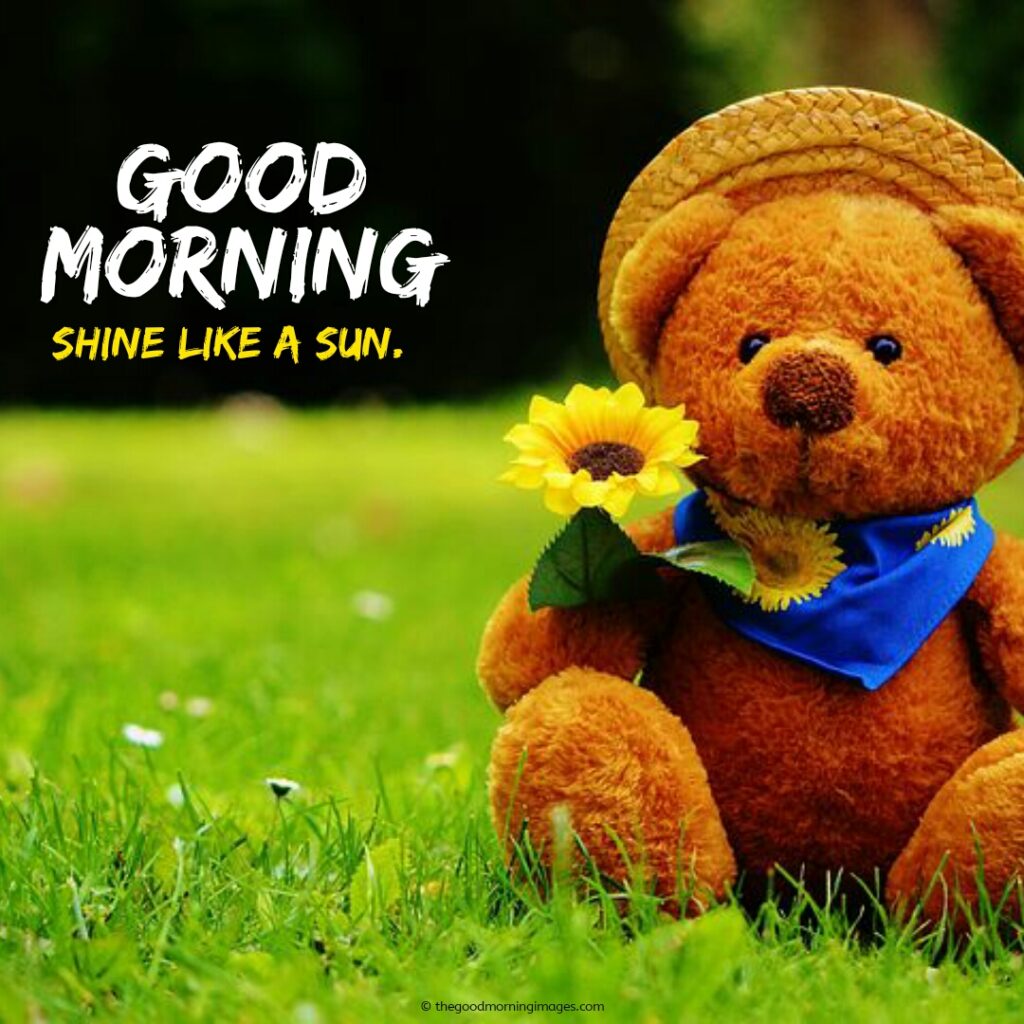 120+ Sweet Good Morning Teddy Bear Images | A To Z