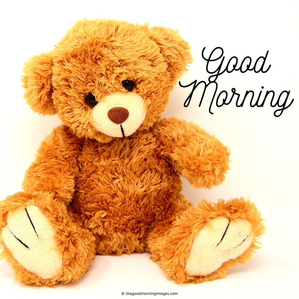 good morning images with teddy bear