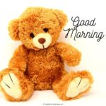 120+ Sweet Good Morning Teddy Bear Images | A To Z