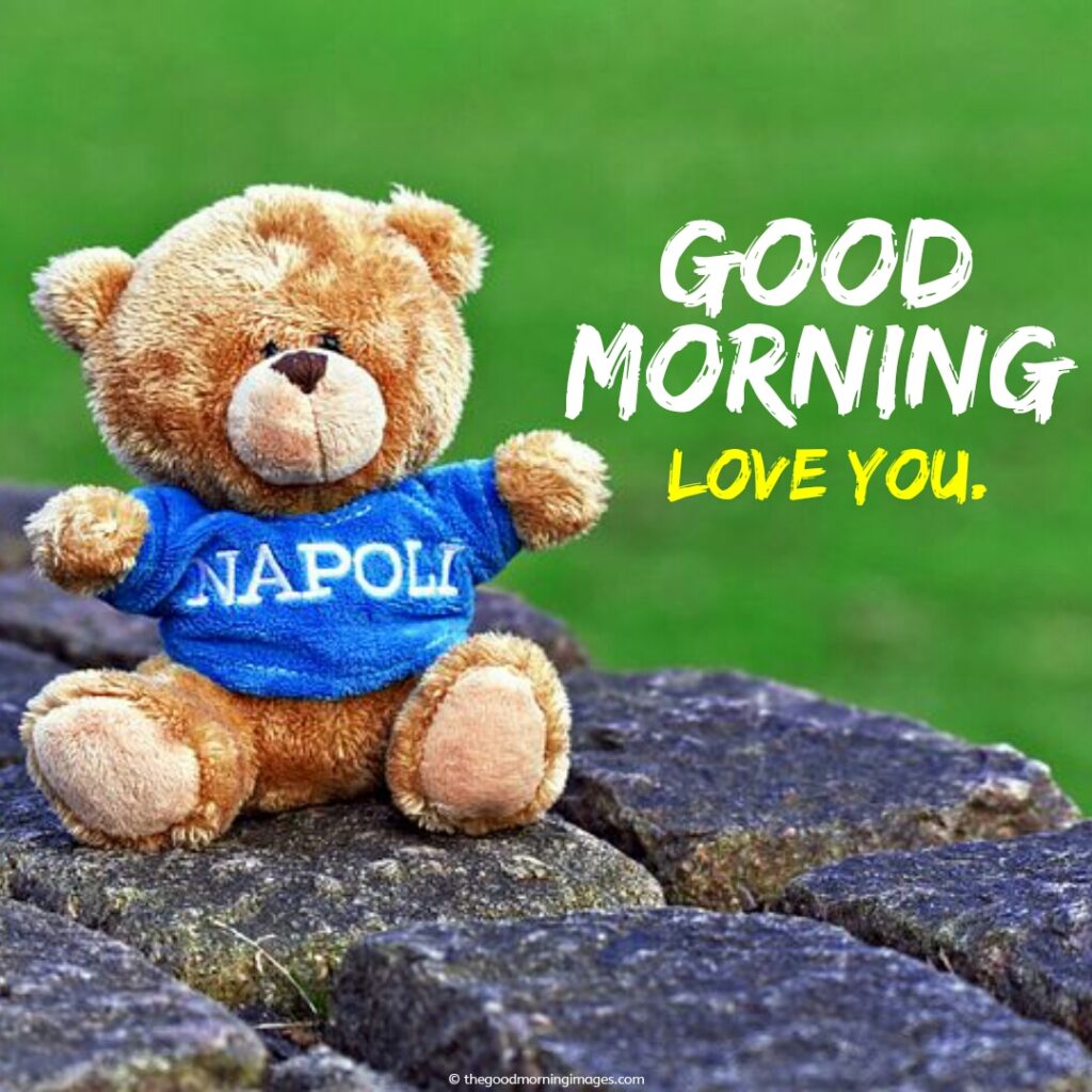 good morning love you teddy bear images