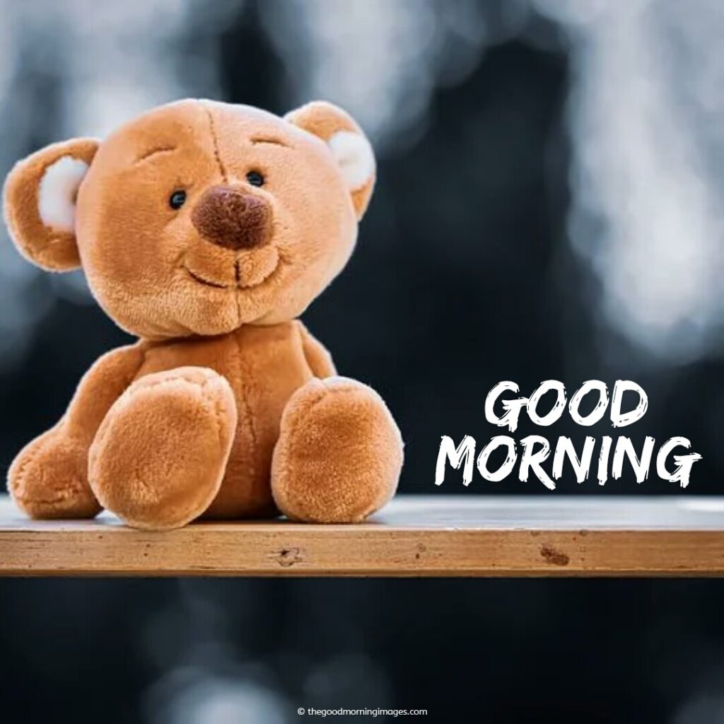 good-morning-photos-with-teddy-bear