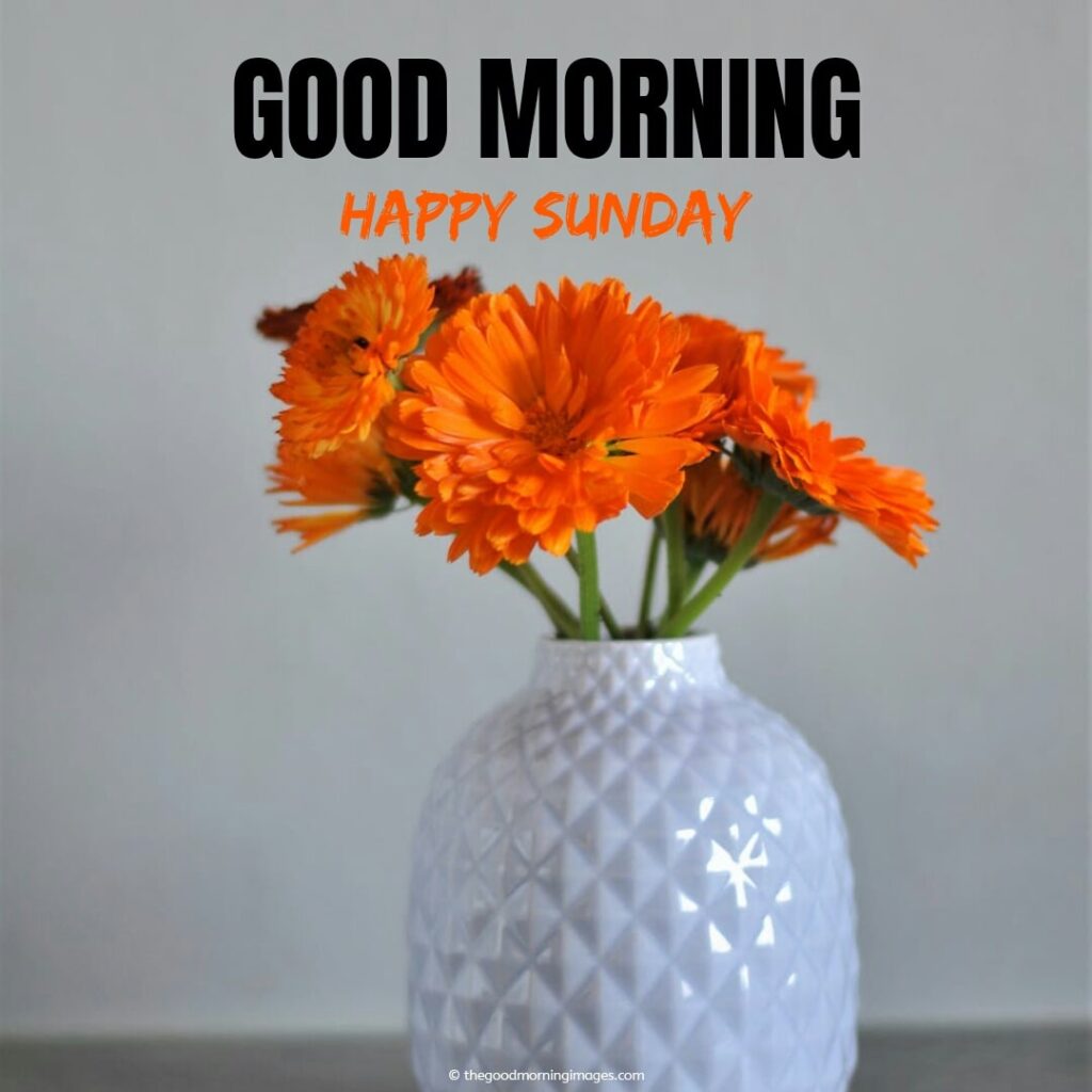 good morning sunday orange flowers