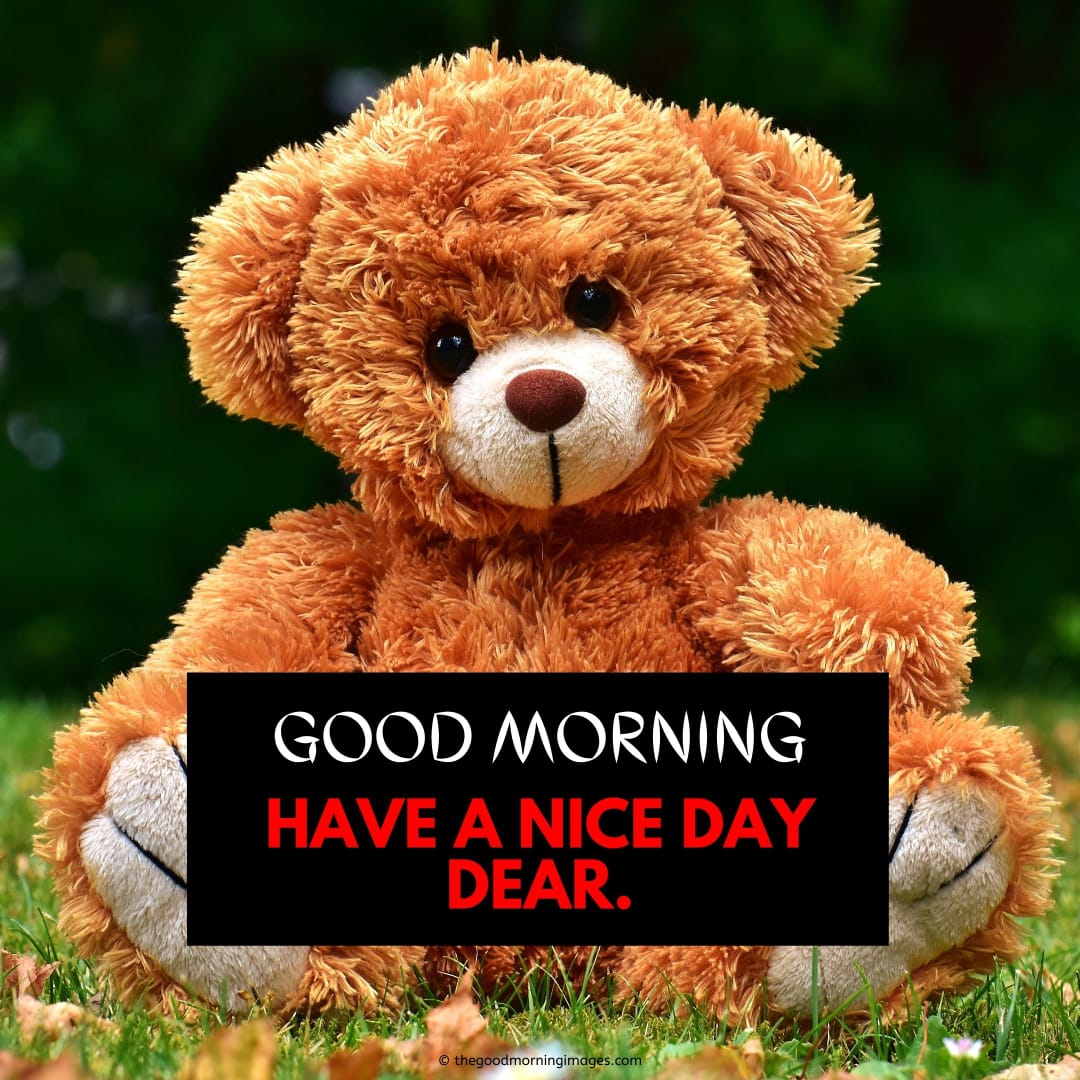 120 Sweet Good Morning Teddy Bear Images A To Z 6458