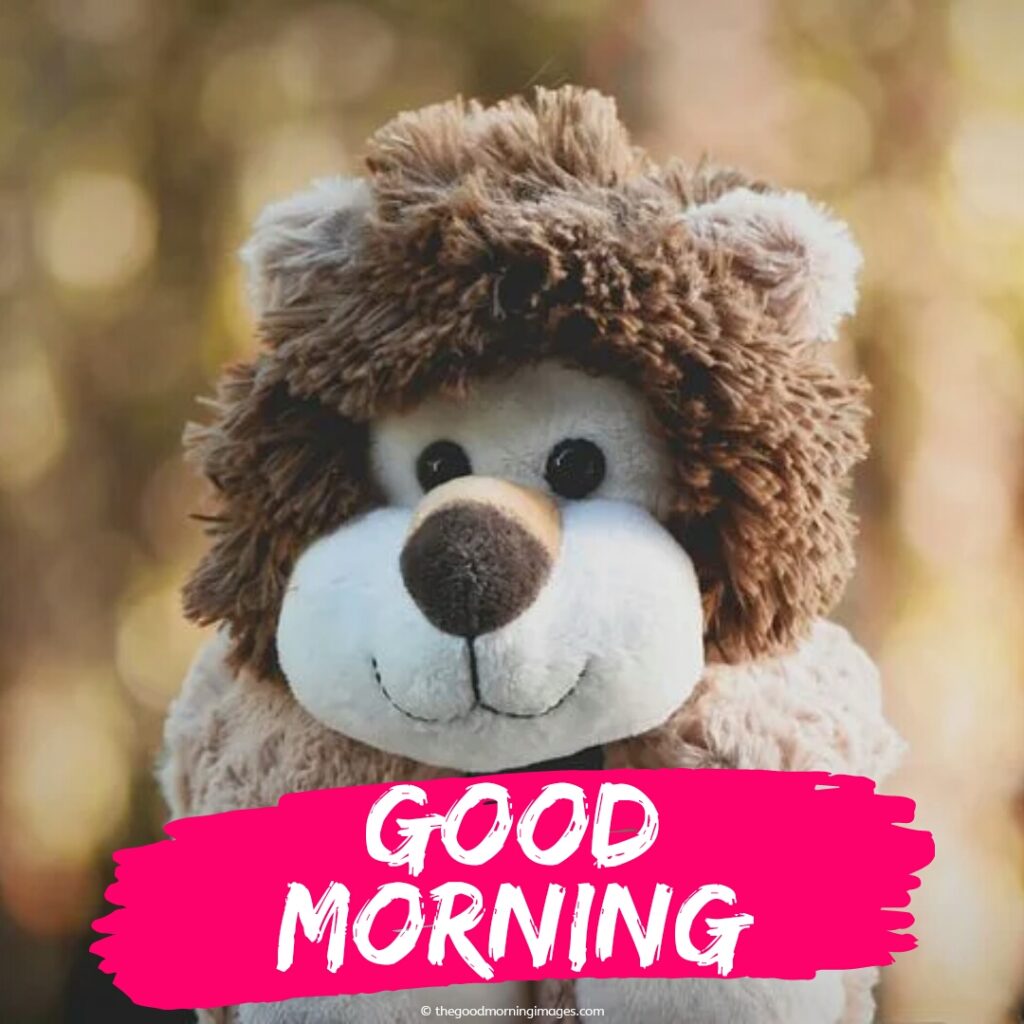 good morning teddy bear images 1