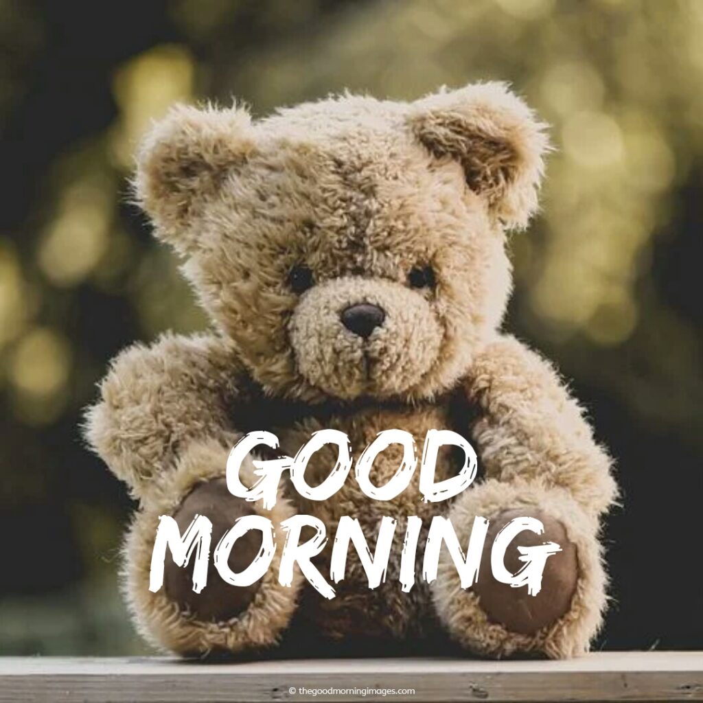 good morning images teddy bear