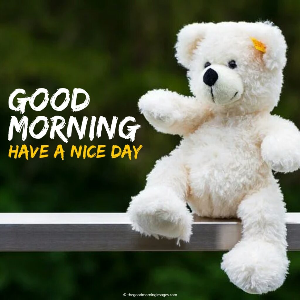 good morning images with teddy bear