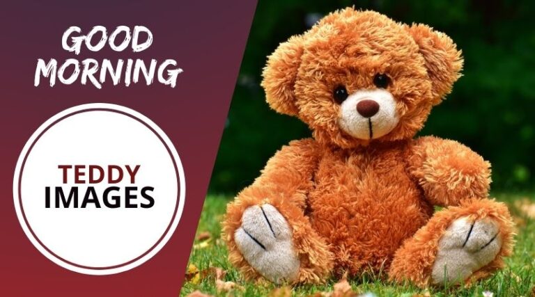 good morning teddy bear images