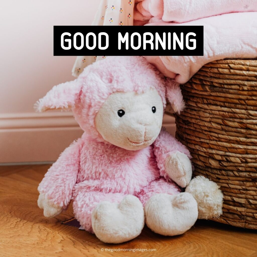 good morning friends teddy bear