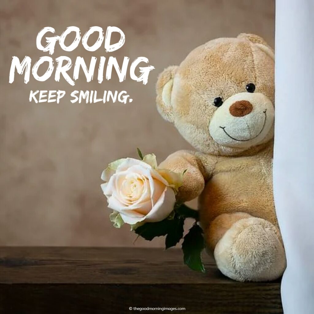 good morning images with teddy bear