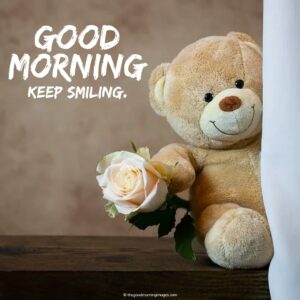 120+ Sweet Good Morning Teddy Bear Images | A To Z