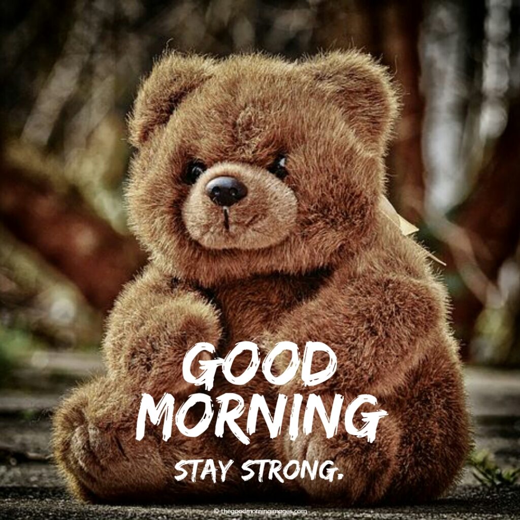 good morning images with teddy bear
