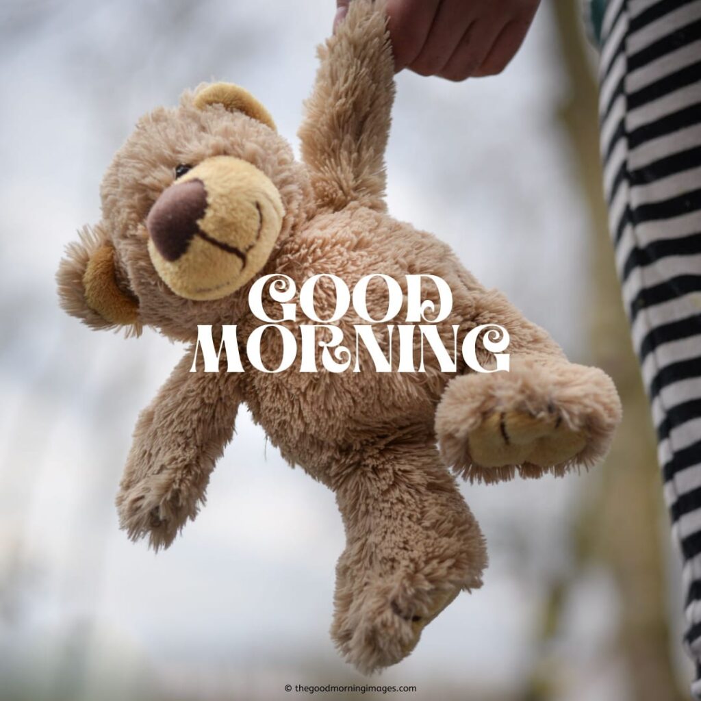 good morning teddy bear photos