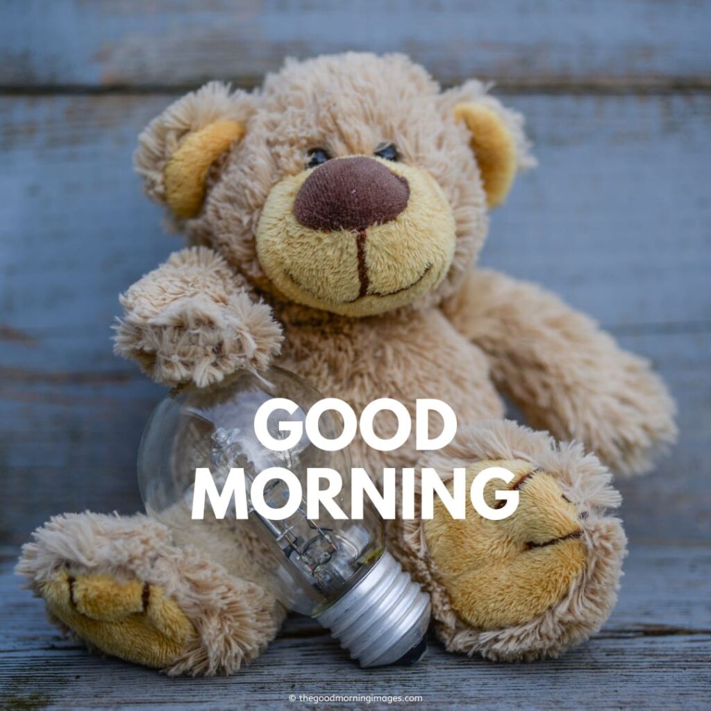 gd mrng teddy bear images