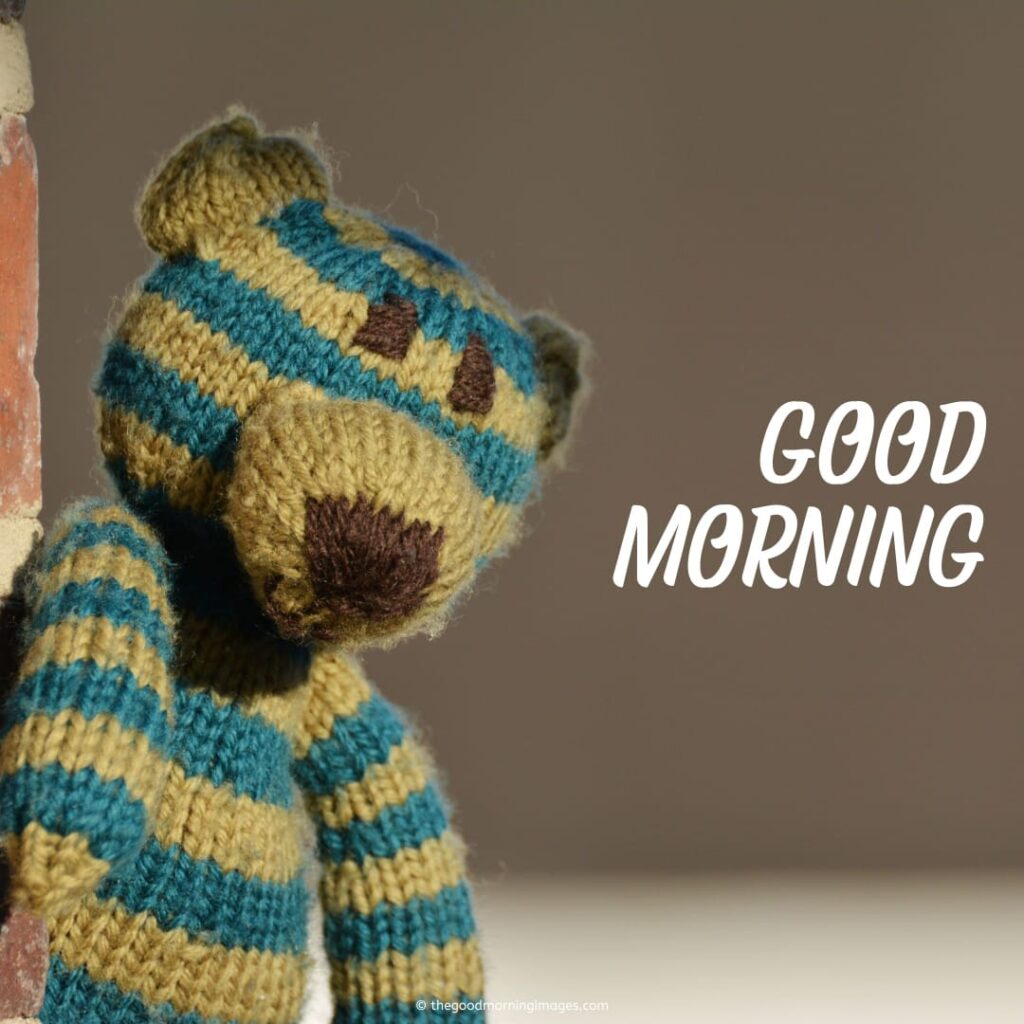 gd mrng teddy bear pics