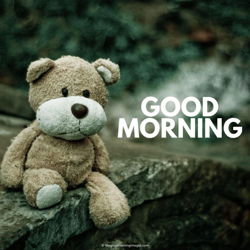 gd mrng images with teddy bear