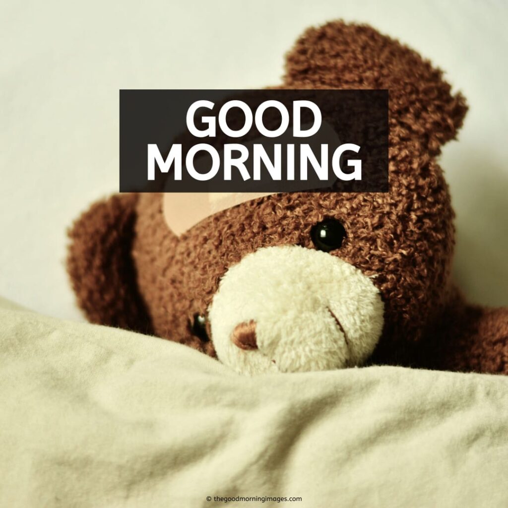 good morning images with teddy bear