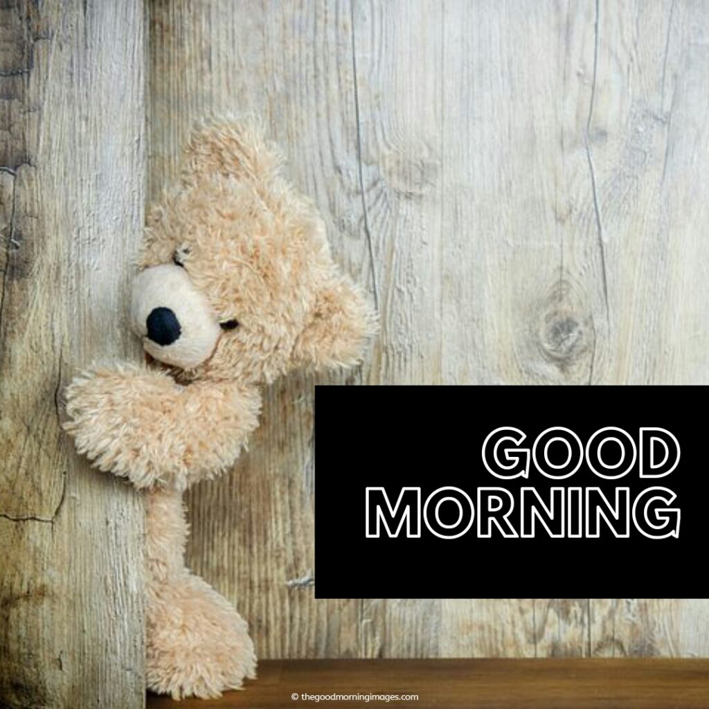 gd mrng teddy