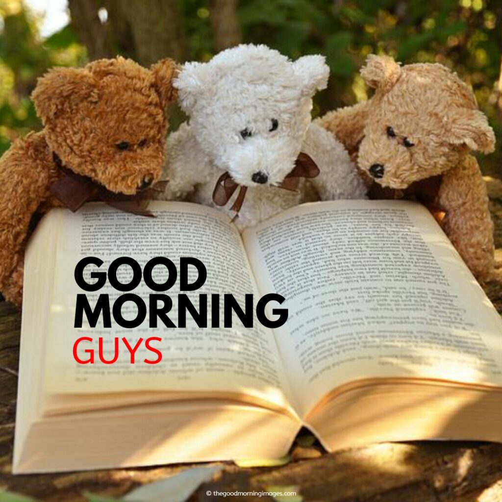 good morning teddy bear images friends