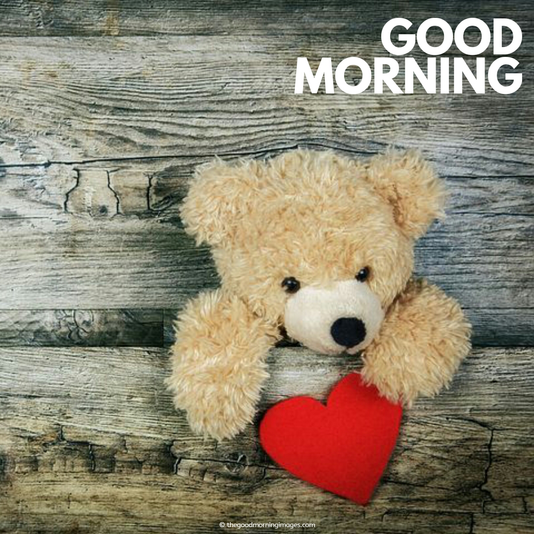 120+ Sweet Good Morning Teddy Bear Images | A To Z