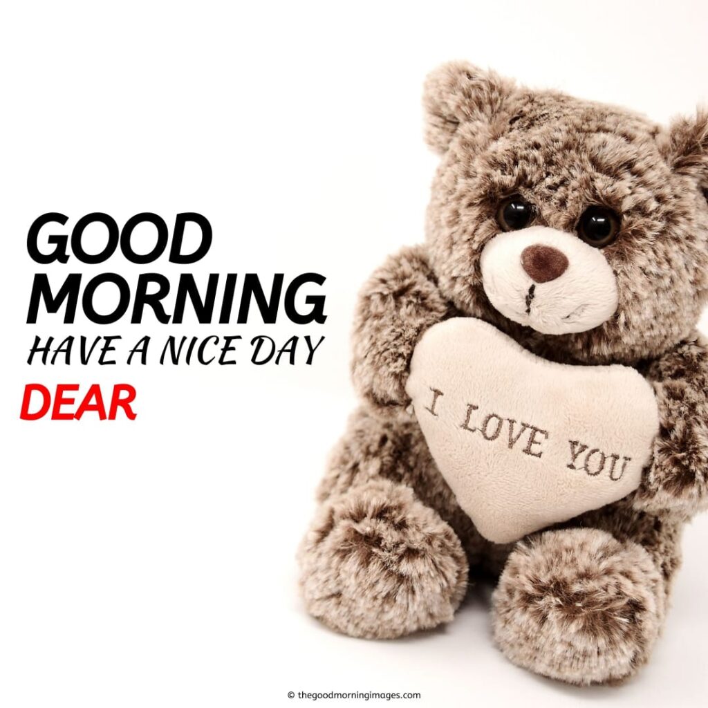 Good Morning Love Teddy Images